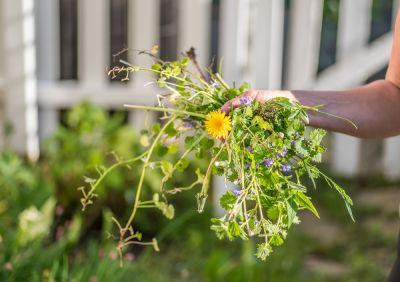 Promotes healthy plant growth
