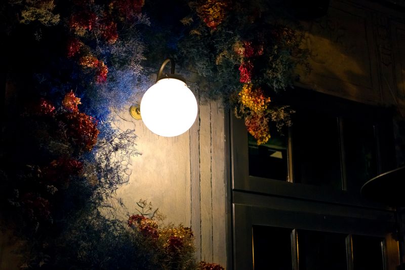 Courtyard Light Installation in Olathe, KS