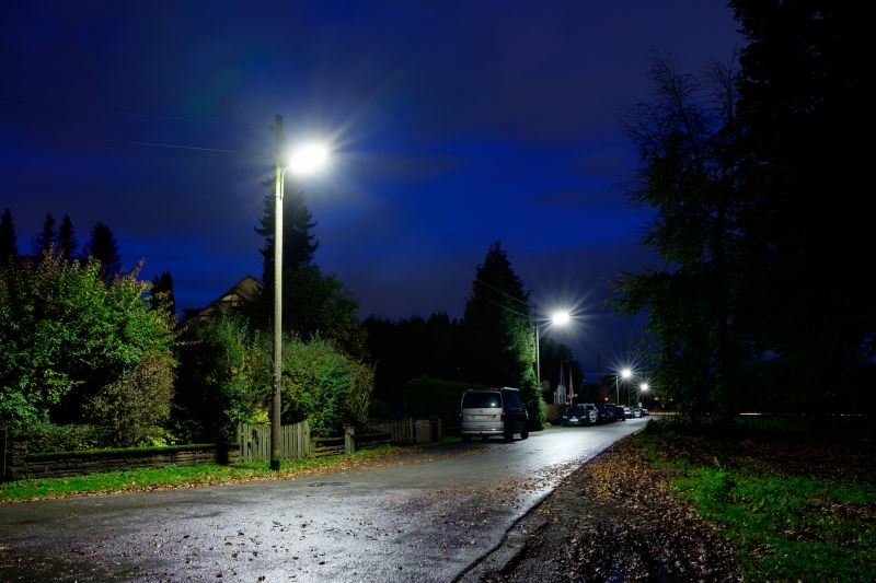 Driveway Lighting Installation in Alpharetta, GA