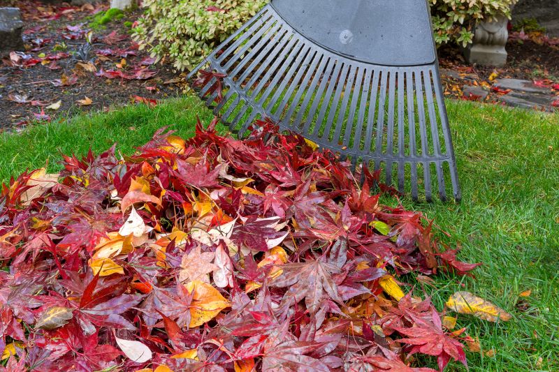 Fall Yard Cleanup Tools