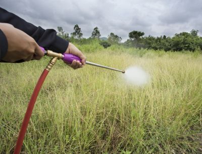 Prevents weed overgrowth